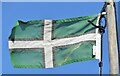 SY2591 : Axmouth - Devon Flag by Colin Smith