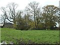 Trees around a pond, near Coton Hill Farm