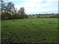 Grass field, east of Heath Holding Farm