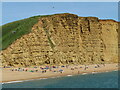 SY4689 : West Bay - East Cliff by Colin Smith
