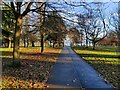 Path through Brinton Park