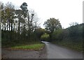 Road past old quarries, north of Milverton