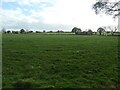 Large field, north-west of Wastegate Farm