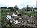 Muddy track, off Sandon Road, Cresswell