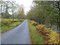 NN2736 : Glen Orchy - Road (B8074) beside the River Orchy by Peter Wood