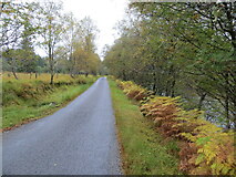 NN2736 : Glen Orchy - Road (B8074) beside the River Orchy by Peter Wood