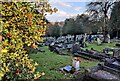 Graves at Kidderminster Cemetery