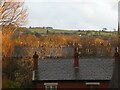 SJ9594 : Rooftops of Garside Street and beyond by Gerald England