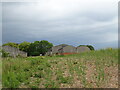 Farm buildings, Haugh