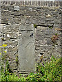 Milestone, Rounceval Street