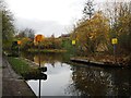 Canal narrows at Shirland Lane winding hole