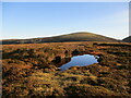 NS9014 : Pool of water on Glen Ea's Hill by Alan O'Dowd