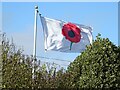 A British Legion Poppy Flag