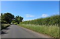 Bicester Road approaching Stratton Audley