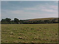 View from the Centenary Way south of Hockley