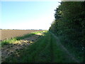 Farm track, Farlesthorpe