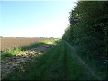 TF4874 : Farm track, Farlesthorpe by JThomas