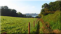 Path beside Paddock Wood leading down to The Mere at Ellesmere