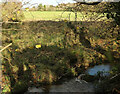 Stream near Chittleford