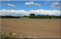 SP6228 : Field by Mill Road near Newton Morrell by David Howard
