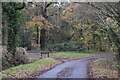 Triangular junction of Winsor Lane and Tatchbury Lane