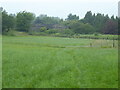 The Pennine Bridleway near Coppice Farm