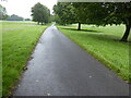 The Pennine Bridleway near Coppice Farm