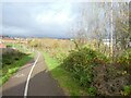 Cycle path on edge of Exeter