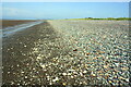 Shoreline opposite Beckfoot Farm