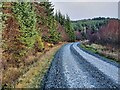 Forest road in Kilmichael Forest