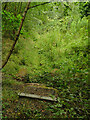 Dry stream in Raw Nook nature reserve