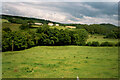 Looking into the valley of Afon Ydw, Myddfai