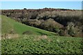 Pasture and woodland, Veryan