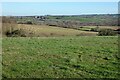 Pasture, Philleigh