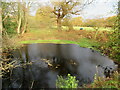 Pond at Lodge Farm