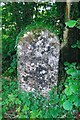 Old Boundary Marker north of the Old Frome Road