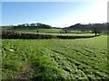 Farmland, south of Dulcote