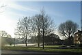 Frost on Tutbury Fields