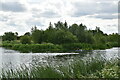 Openwater Swimmer, Jubilee River