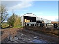 Cattle and barn on Jack