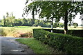 Roadsign near Woodlands Farm