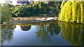 Ludford, River Teme. Horseshoe weir