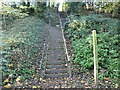 Public footpath to Main Street, King