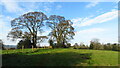 On field path running north from Horton Staffordshire