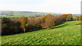 Un-defined path leading northwest from Dairy House Bank, Horton, Staffordshire