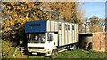 Horsebox and autumn leaves