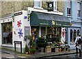 Daisies on Walton Street