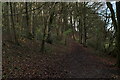 Footpath in Woods, Haw Park