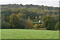 Woods, Ashdown Forest