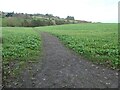 Public footpath heading north from White Leys